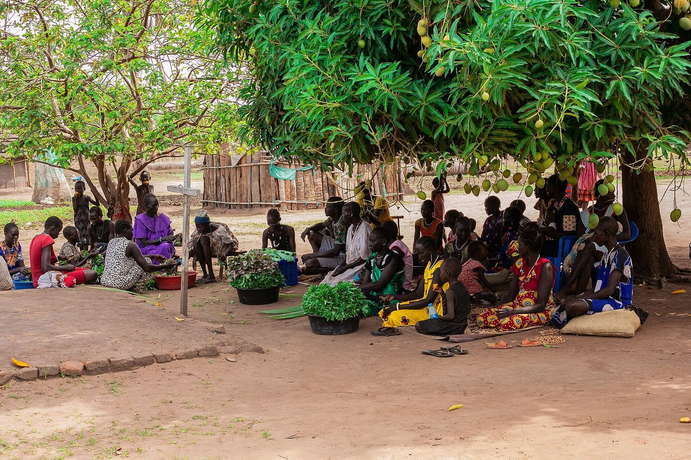 Women preparing fresh vegetables to sell in a village market